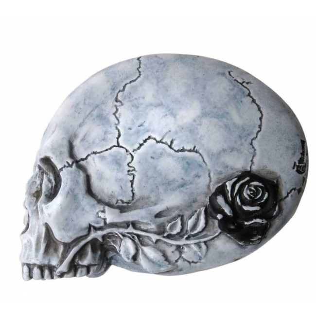 Nevermore - pealuukujuline taskupeegel varesega