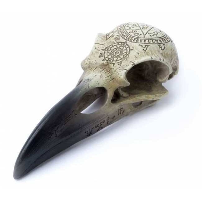 Omega Raven  - varese pealuu