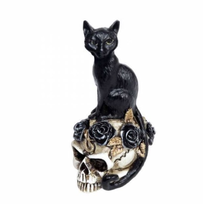 Miniatuurne kass pealuul 