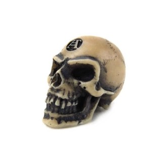 Lapillus Worry Skull  - miniature