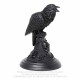 Poe's Raven küünlajalg