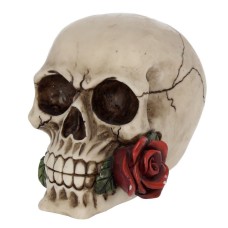 Pealuu roosiga - Rose From the Dead 15cm