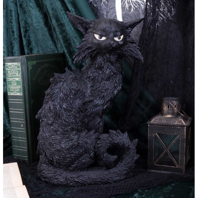 Suur musta kassu kuju Salem 32.5cm