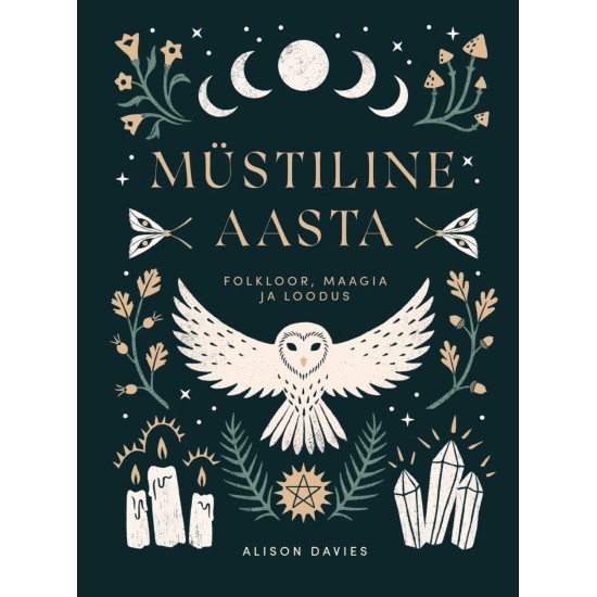 Müstiline aasta - Alison Davies