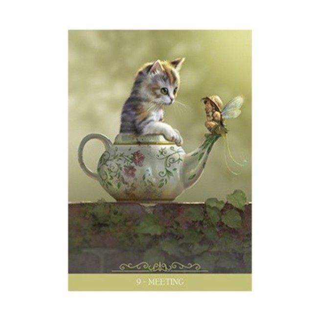  Fantasy Cats - Paolo Barbieri oraakel 