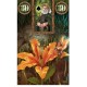 Haldja Lenormand oaakel - Fairy Lenormand Oracle