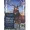 The Druid Animal Oracle raamat ja kaardid - Philip & Stephanie Carr-Gomm