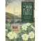 The Druid Plant Oracle raamat ja kaardid - Philip & Stephanie Carr-Gomm, Will Worthington