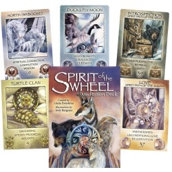 Spirit Of The Wheel meditatsioonikaardid - Jody Bergsma