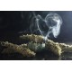 INCENSE AND SMUDGING INCENSE AND SMUDGING