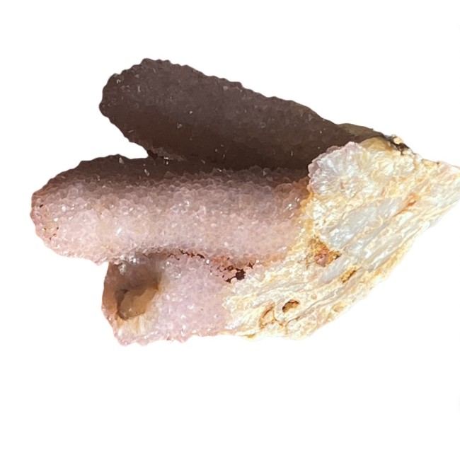 Hingekvarts kaheharuline