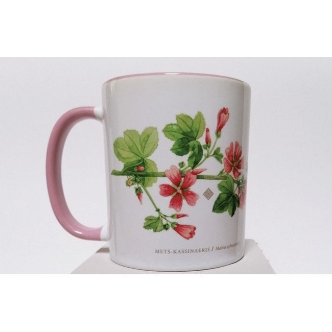 Kassinaeris - kruus  Kassinaeris - kruus