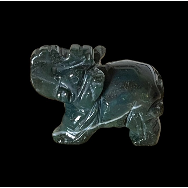 Pisike õnneelevant - Sammalahhaat