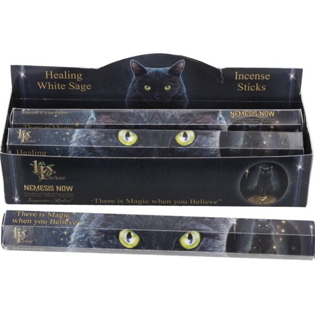 Lisa Parker valge salvei tossupirrud - Healing Lisa Parker valge salvei tossupirrud - Healing