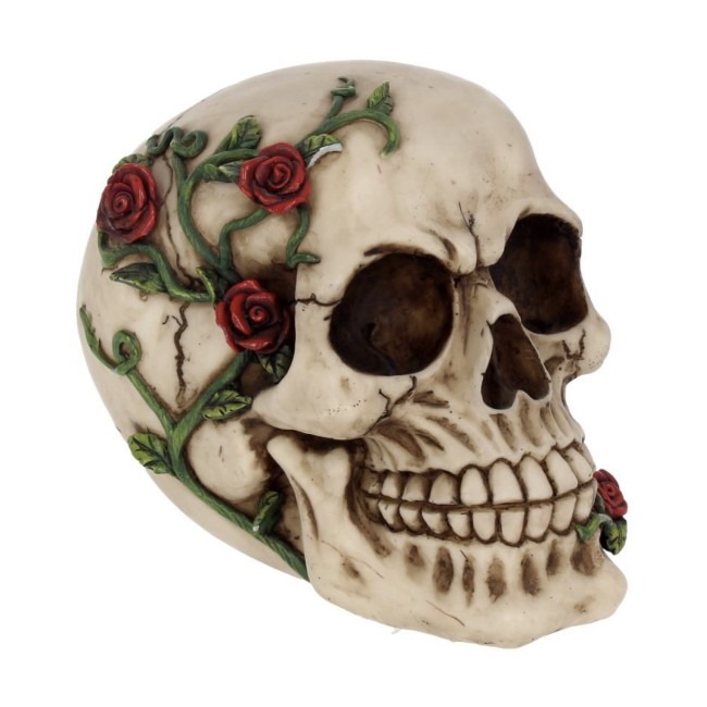 Pealuu roosidega - Rose From Beyond