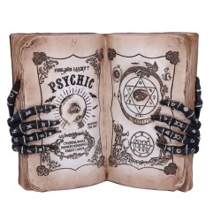 Psychic Compendium 25.8cm