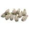 Valge salvei (salvia apiana) mini suitsutuskimp (Kalifornia)