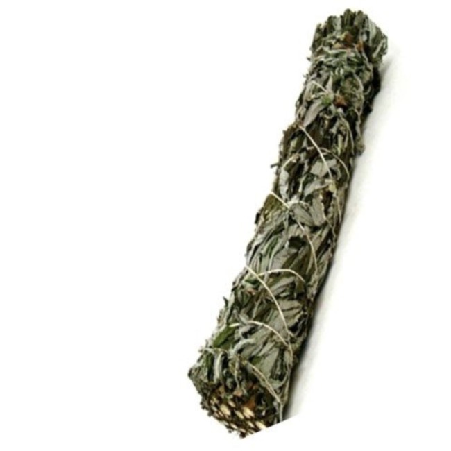 Must Salvei (Salvia mellifera) 10cm